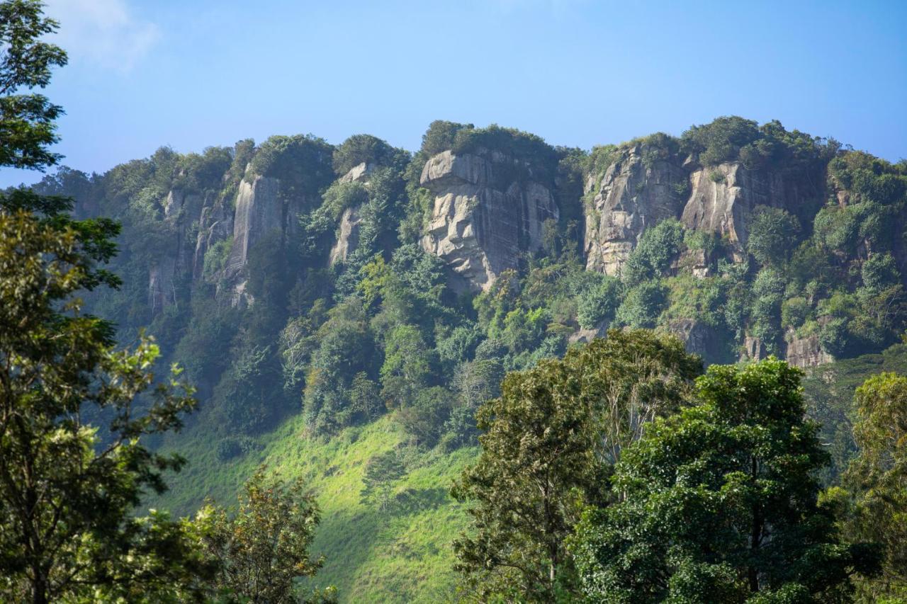 W15 Hanthana Estate Kandy Buitenkant foto