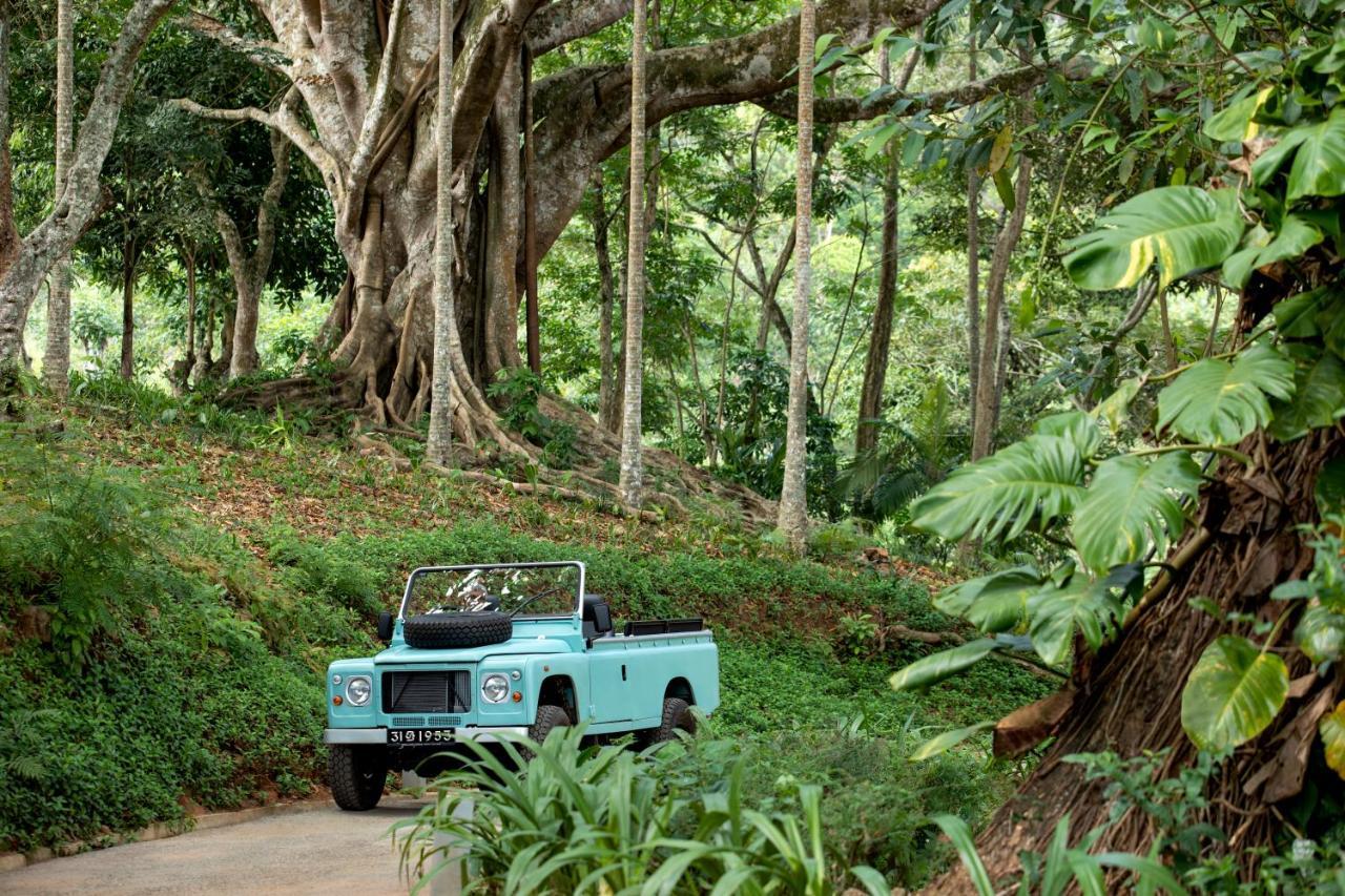 W15 Hanthana Estate Kandy Buitenkant foto